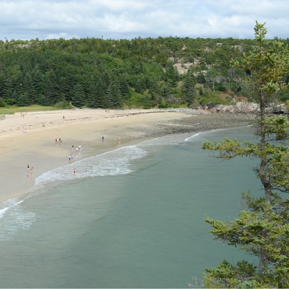 Offers are Welcome 🐝 - Picture 3 of 3